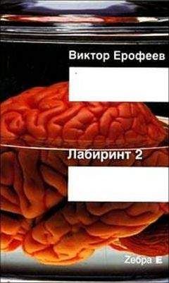 Михаил Забоков - Беседка. Путешествие перекошенного дуалиста