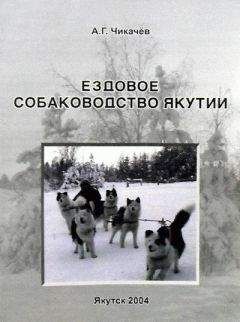 Неустановленный автор - Нострадамус. XX век: новейшая дешифровка