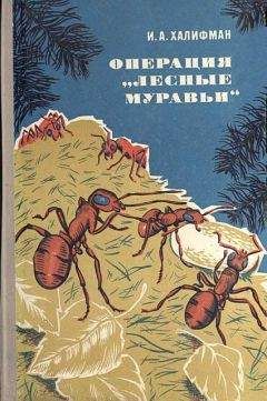 Иосиф Халифман - Операция „Лесные муравьи