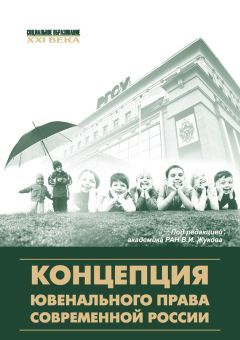 Наталья Лопашенко - Основы уголовно-правового воздействия