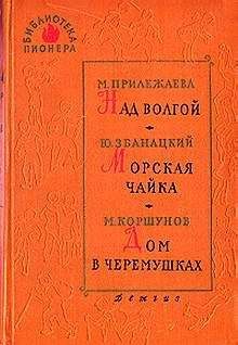 Александр Яшин - Волк в городе