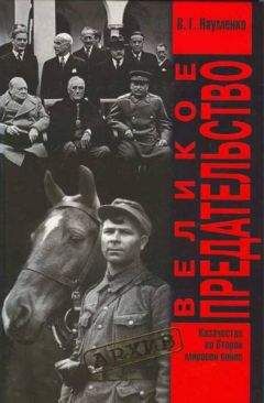 Николай Тимофеев - Трагедия казачества. Война и судьбы-3