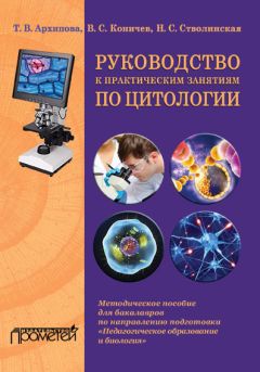 Татьяна Петухова - Развитие информационной компетентности студентов в самостоятельной работе