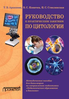 Татьяна Петухова - Развитие информационной компетентности студентов в самостоятельной работе