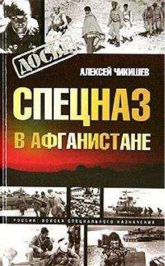 Андрей Баширов - По ту сторону Гиндукуша