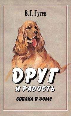 Владимир Круковер - Детская собака — о чем речь…