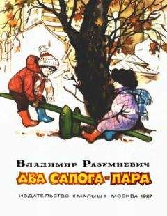 Владимир Разумневич - Два сапога — пара