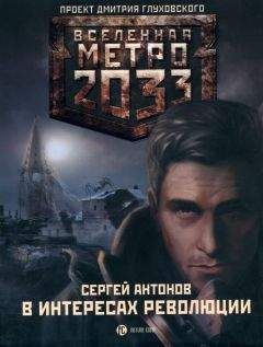 Дмитрий Ермаков - Метро 2033: Третья сила