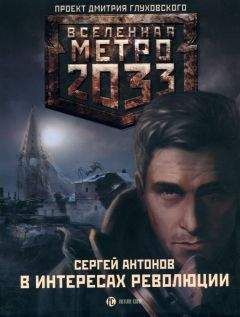 Сергей Антонов - Метро 2033: Темные туннели