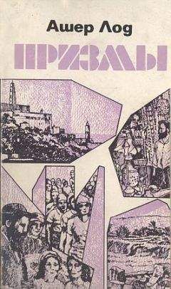 Цви Прейгерзон - Неоконченная повесть