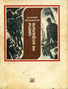 Владимир Флоренцев - Незримый поединок