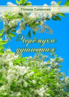 Трудовая книжка что нужно знать бухгалтеру