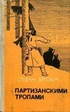 Александр. Омильянович - Смысл жизни