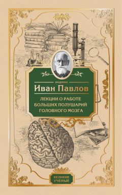 Адриан Вебстер - Мозг: краткое руководство. Все, что вам нужно знать для повышения эффективности и снижения стресса