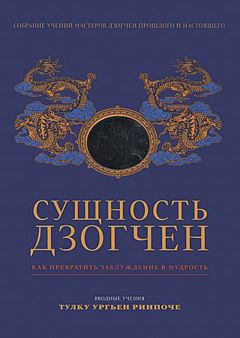 Марсия Шмидт - Сущность Дзогчен. Как превратить заблуждение в мудрость