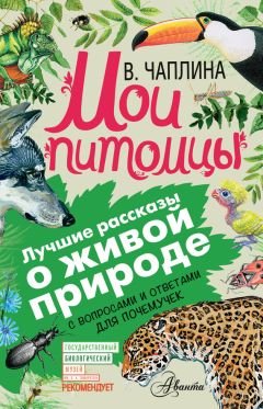 Константин Ушинский - Спор животных (сборник). С вопросами и ответами для почемучек