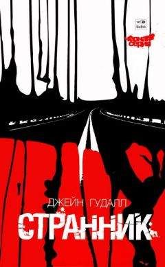 Джой Филдинг - Бегство Джейн