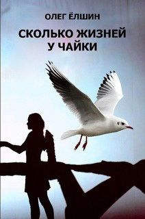Олег Дмитриенко - Ледяной человек