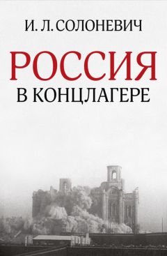 Рамиль Булатов - Создай свой город: история и современность. Великая Татария (Tartaria), Россия и становление наукоградов «Иннополис» и «Смарт Сити Казань»