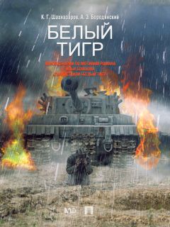 Дмитрий Кольцов - Операция «КРАХ», или Кто и как вмешался в заокеанские выборы