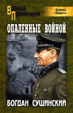 Винценц Мюллер - Я нашел подлинную родину. Записки немецкого генерала