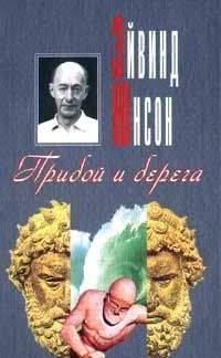 Эдмундо Пас Сольдан - Бред Тьюринга