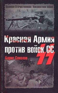 Клаус Штикельмайер - Откровения немецкого истребителя танков. Танковый стрелок