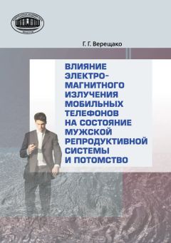 Батыр Каррыев - Интернет: цифровая революция эры мгновенной коммуникации. Мегасила, история и влияние на общество