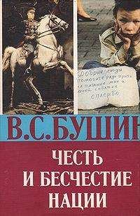 Владимир Бушин - Огонь по своим