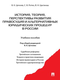 Владимир Ярославцев - Нравственное правосудие и судейское правотворчество