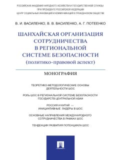 Елена Кондрат - Международная финансовая безопасность в условиях глобализации. Основные направления правоохранительного сотрудничества государств