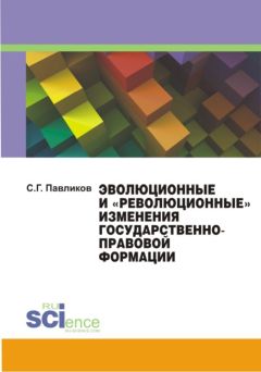 Ольга Околеснова - Общественный контроль. Информационно-правовые проблемы теории и практики