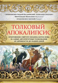 П. Бородин - Апокалипсис. Опыт подстрочного комментария. На основании учения Священного Писания и святых отцов