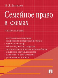 Камиль Бекяшев - Международное право в схемах. 2-е издание