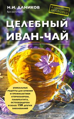 Павел Фадеев - Глина лечит. Артрит и артроз, остеохондроз, ушибы и ожоги, волосы и кожу