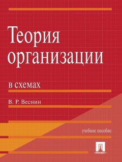 Владимир Соловьев - Теория социальных систем. Том 1. Теория организации социальных систем