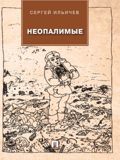 Сергей Ильичев - По зову волхвов: современные сказки для взрослых детей