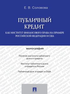 Сергей Соломин - Банковский кредит: проблемы теории и практики