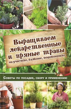 Наталия Костина-Кассанелли - Комнатные деревья и кустарники