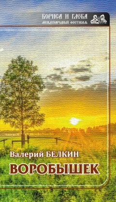 Валерий Свешников - Былицы