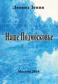 Леонид Оливсон - Осколки зеркала моей взрослой жизни