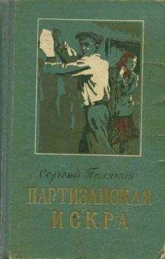 Николай Черкашин - Знак Вишну