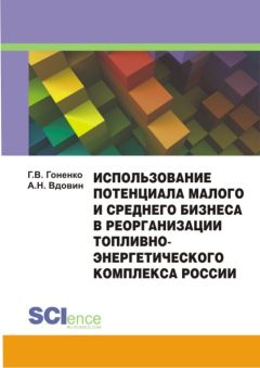 Вера Рубе - Институциональные аспекты организации малого бизнеса в развитых странах и в России. Учебное пособие