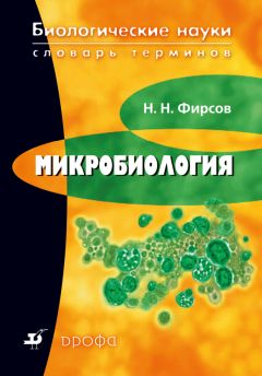 А. Айрапетян - Краткий медицинский терминологический словарь