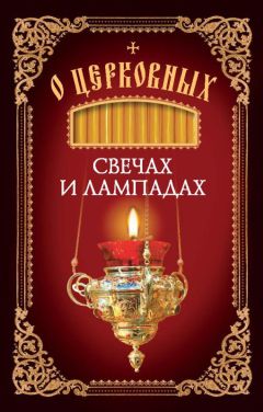 Николай Чижов - Очаг. Экологическая история