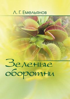 Н. Клёк - Дикие травы нашего края. Книга 2. Растения-аборигены