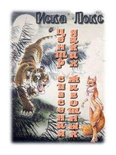 Наталья Котрасева - Лес За Пределами