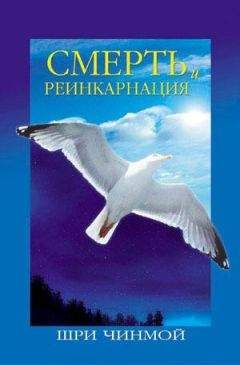 Анастасия Новых - Сэнсэй. Исконный Шамбалы