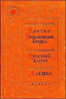 Питер Леренджис - Наблюдатели