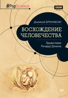 Ефим Рейтблат - Идеология умелого общества. Седьмая книга мирового масштаба за всю историю человечества